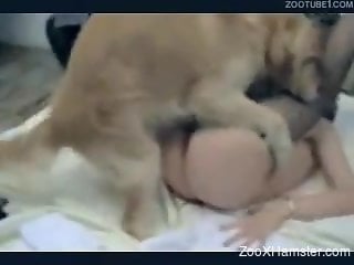 Sweetheart has sexual relations with husband's dog