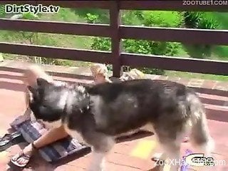 Beauty sucks big erect penis of playful husky