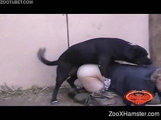 Boy tied up naughty chick and forced to copulate with his dog