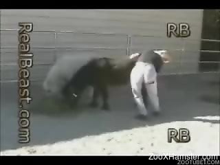 Farm girl with beautiful body gives her pony a ionate rimjob