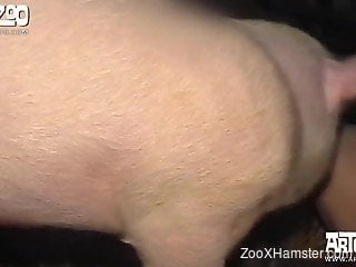 Doggy style animal porn XXX showing women enduring sex