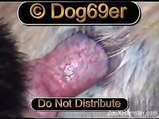 Extremely kinky zoo sex video featuring close-up penetration