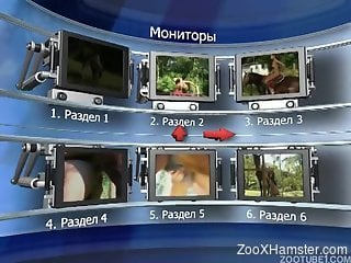 Insane collection of zoophilia porn with the hottest babes