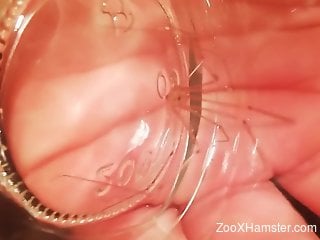 Dude is going to let spiders crawl all over his cock
