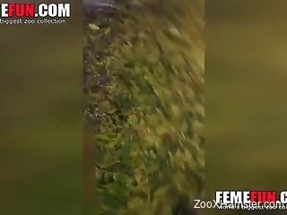 Sneaky fucking video with a teen and her kinky dog