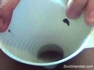 Horny zoophilia cam scenes in closeup angles showing dirty action