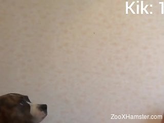 Horny Russian babe fucking her pet regularly