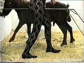 Hardcore banging with a bunch of sexy animals