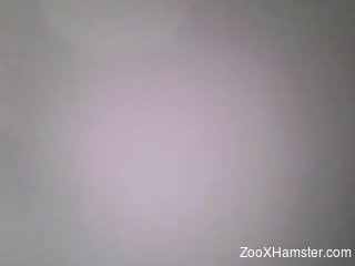 Sneaky sex scene featuring a dog-loving zoophile