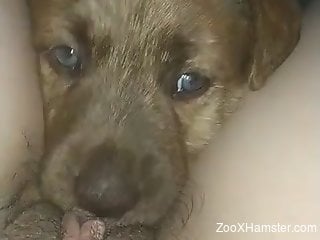 Blue-eyed animal showing its deepthroat prowess in POV