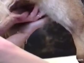 Blond-haired babe worships a dog's juicy cock on camera