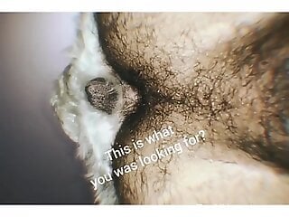 Hairy boipussy getting fucked by a dog that wants to knot