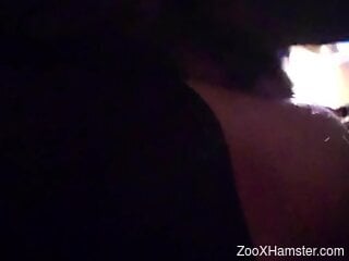 Steamy female enjoys quality dog cock hammering her soft cunt