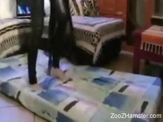 Leather bodysuit babe getting banged by a doggo