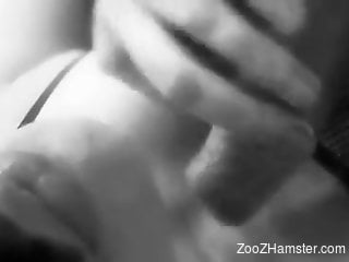 Incredible B&W fuck scene with a truly dirty doggo