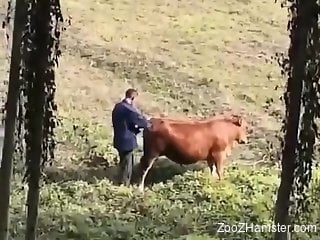 Sexy beast getting fucked savagely by a horny dude