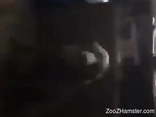 Sexy female enjoys tasty dog dick for ultimate porno pleasures