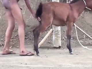 Dude looks horny as he fucks the sexy animal