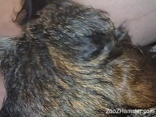 Horny and hardcore closeup experience with gape