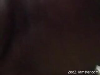 Naked man fucks animal in the pussy and records the scenes