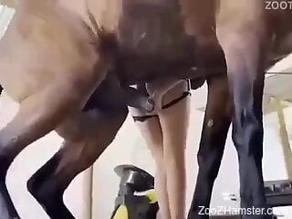 Fine woman lands horse's huge dick all the way in her muff