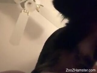 Aroused woman lets her furry dog lick her and then fuck her