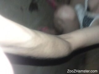 Slender cam slut plays with the dog dick while being filmes