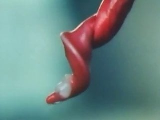 Zoo Zoo Sex Porn