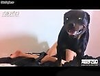 Real-Zoo-Sex