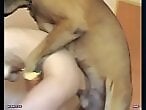 Free zoo porn tube