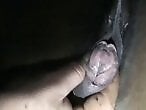 Zoo porno and bestiality
